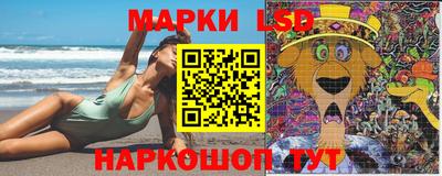 гашик Донецк