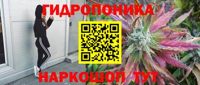 гашик Донецк