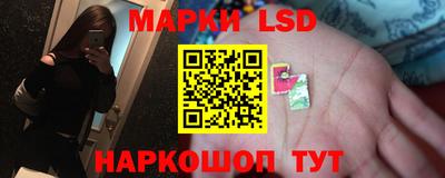 гашик Донецк
