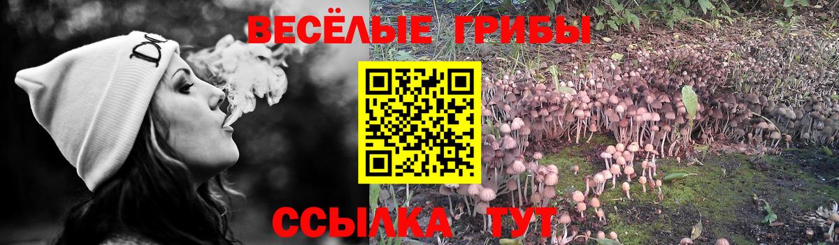 Галлюциногенные грибы мухоморы Гусев