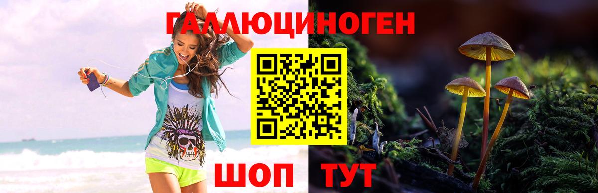 Гусев  Псилоцибиновые грибы мицелий  Вход с VPN 